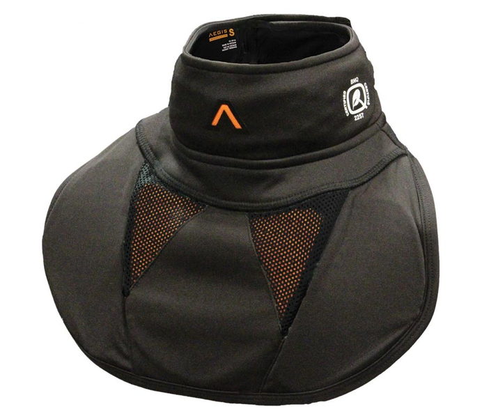 aegis-goalie-interceptor_1.jpg
