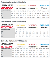 Schlittschuhgroessentabelle.png Schlittschuhgroessentabelle.png