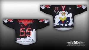 Eishockeytrikots Metzen Profiqualität für nur EUR 39,95 pro Trikot!
