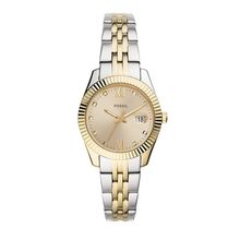 ES4949 Scarlette Mini
