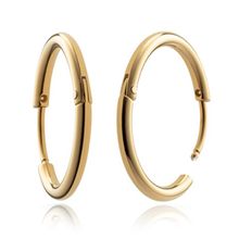 PH-JE-0459 Hoops Charm stud earrings