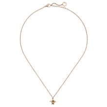 Paul Hewitt PH-JE-0660 Turtle Mono Halskette Rose Gold