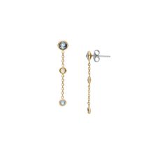 Skagen SKJ1892710 Elegant Earring