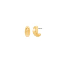Michael Kors MKJ8606710 Premium Women’s Earrings