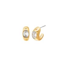 Michael Kors MKJ8478710 Premium Women’s Earrings