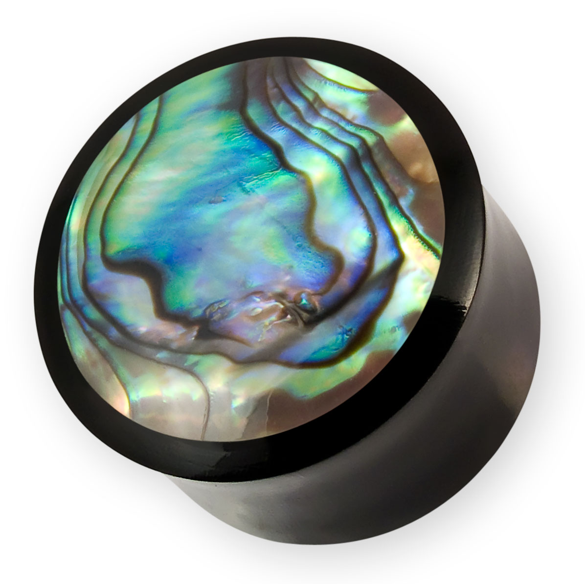     Plugs Flesh Tunnel aus Horn mit Paua Abalone Perlmutt Muschel Inlay