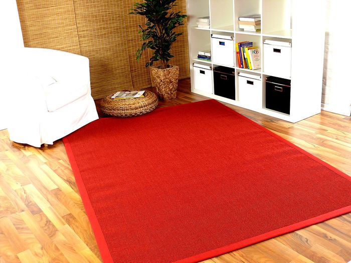 Sisal Astra Natur Teppich Rot Bordüre Rot