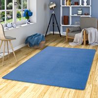 Joy-Blau-E1.jpg