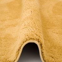 Silky-Curry-E-03.jpg