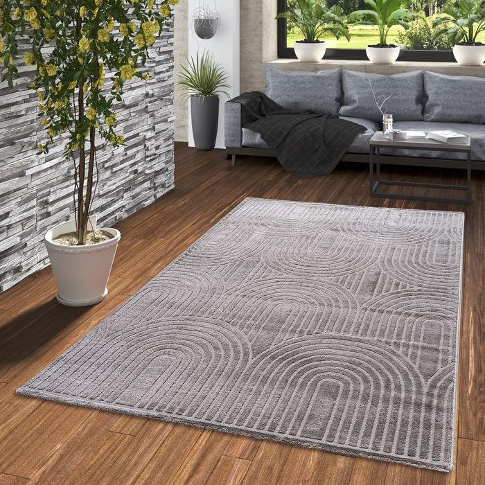 Soft Teppich Lucia Modern Anthrazit