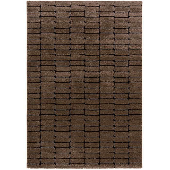 Nosy-2437-480-Brown-E-01.jpg