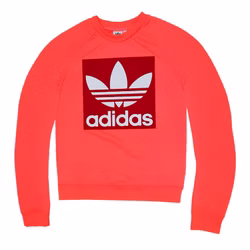 NEON-PULLI-3.jpg NEON-PULLI-3.jpg