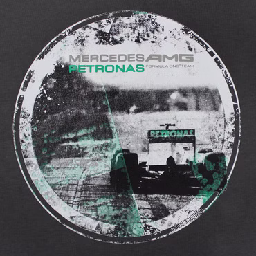 MERCEDES AMG PETRONAS FORMEL 1 FAN HERREN T-SHIRT HAMILTON ROSBERG GRAU S-XXL