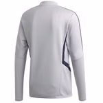 EJ0960-adidas-fcb-fc-bayern-muenchen-munich-trikot-longsleeve-grau-2.jpg