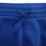 GD2694-adidas-originals-big-trefoil-shorts-kurze-hose-sporthose-freizeit-bermuda-blau-3.jpg