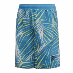 FL8720-adidas-youth-boy-kinder-jungen-badehose-badeshorts-tuerkis-blau-1_1.jpg