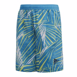 FL8720-adidas-youth-boy-kinder-jungen-badehose-badeshorts-tuerkis-blau-1_1.jpg FL8720-adidas-youth-boy-kinder-jungen-badehose-badeshorts-tuerkis-blau-1_1.jpg
