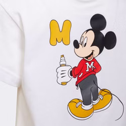 micky2.jpg micky2.jpg