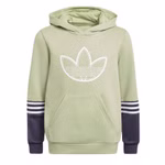 HE4769-adidas-jungen-hoodie-sweatshirt-kapuzenpullover-trefoil-3-stripes-hellgruen-green-1.jpg
