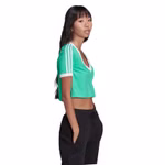 HG6596-adidas-originals-cropped-tee-kurzes-sport-shirt-crop-mint-trefoil-fashion-damen-6.jpg