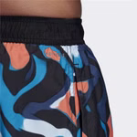 FJ3412-adidas-badehose-badeshorts-prime-blue-clx-swimwear-grau-blau-multicolor-boardshorts-5.jpg