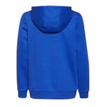 GS2189-adidas-logo-hooded-sweatshirt-kinder-jungen-kapuzenpullover-blau-1.jpg