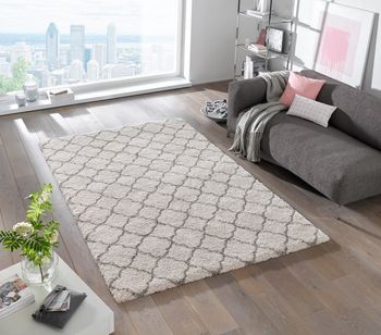 1371-Design-Velours-HochflorTeppich-160-x-230-cm-Luna-Creme-Grau.jpg