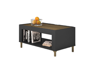 6458-Design-Couchtisch-DM-1-Eiche-Whisky-Tisch-Wohnzimmertisch-Ablageflaeche_1.png