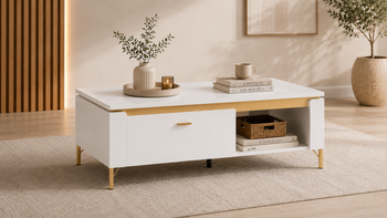 6710-Design-Couchtisch-WM-9-Moderner-Couchtisch-mit-Stauraum-und-offener-Ablage_4.png