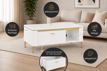 6710-Design-Couchtisch-WM9-Moderner-Couchtisch-mit-Stauraum-und-offener-Ablage_3.png