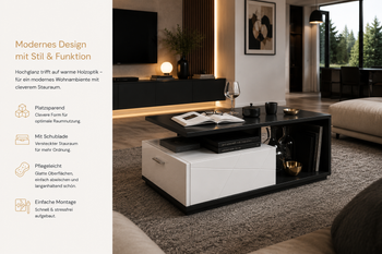 6713-Design-Couchtisch-WM-12-Moderner-Couchtisch-mit-Stauraum-und-offener-Ablage.png