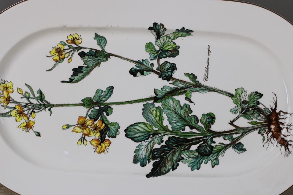 V&B Botanica XXL Fleischplatte