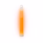 sc-6in-pp-24.jpeg