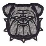 MSM-patch-00035-acu.jpeg