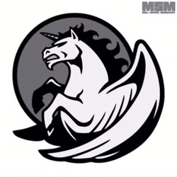 pegasus-unicorn.jpeg pegasus-unicorn.jpeg