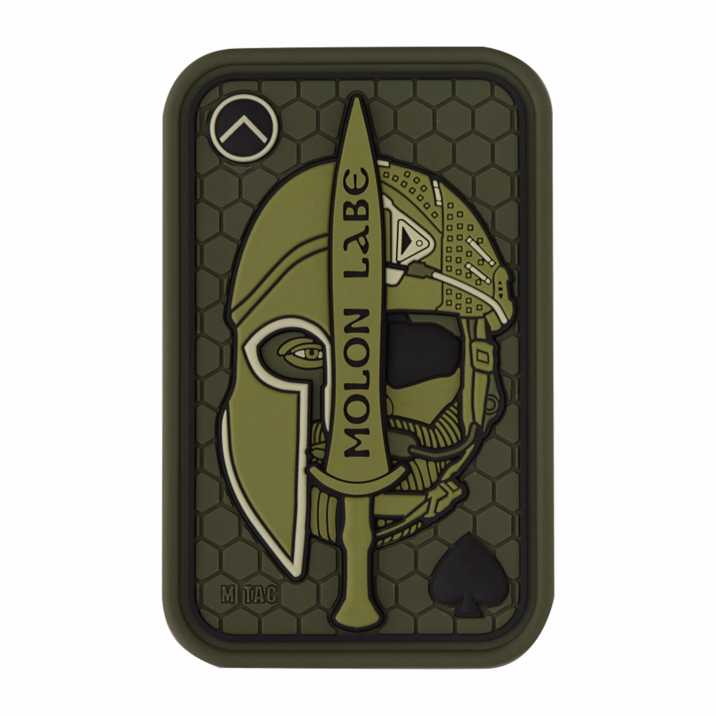 olive1.jpg