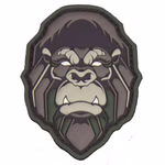 MSM-patch-00301-multicam.jpg
