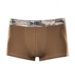 Coyote Brown