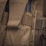 Coyote9.jpeg