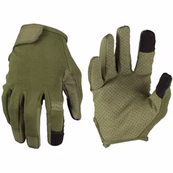 olive1.jpg olive1.jpg