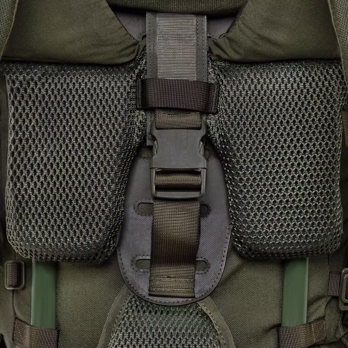 olive7.jpg