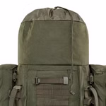 olive6.jpg