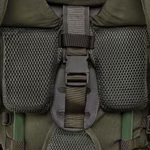 olive7.jpg