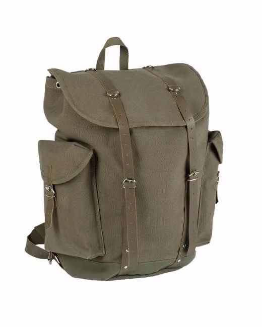 olive1.jpg olive1.jpg