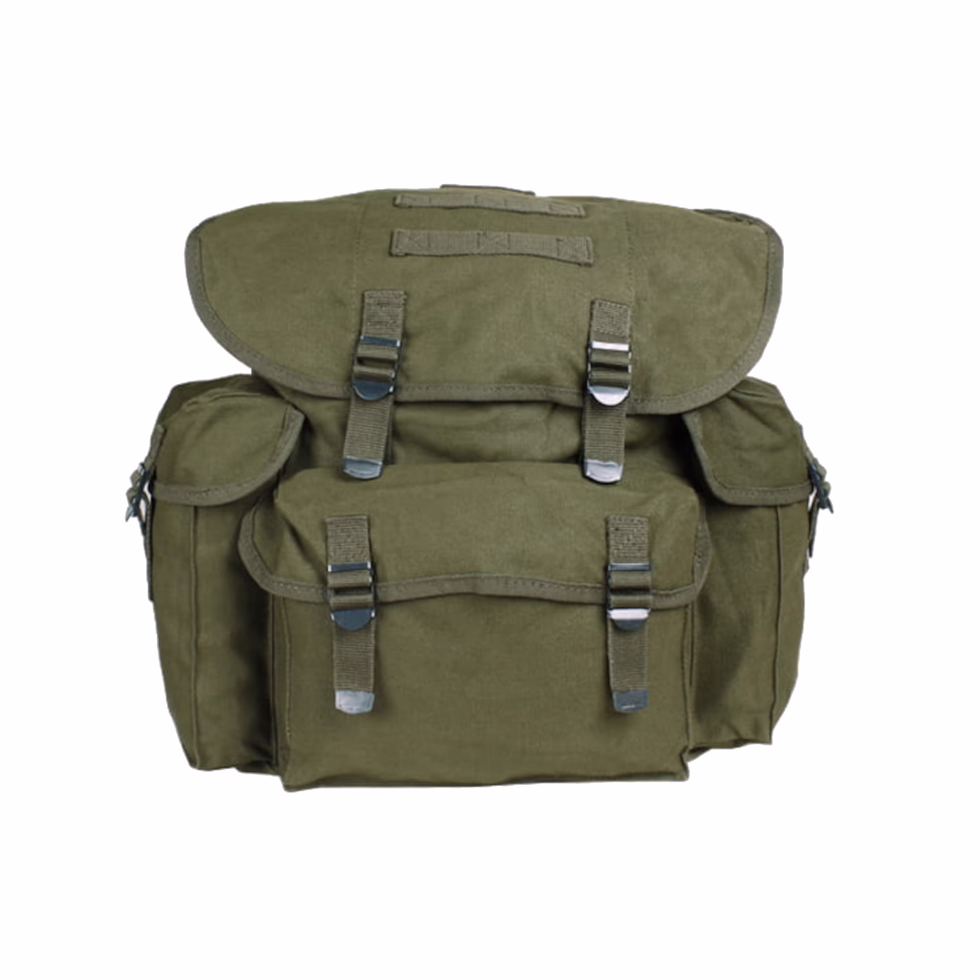olive1.jpg