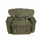 olive1.jpg