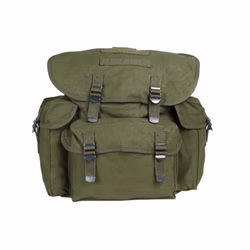 olive1.jpg olive1.jpg