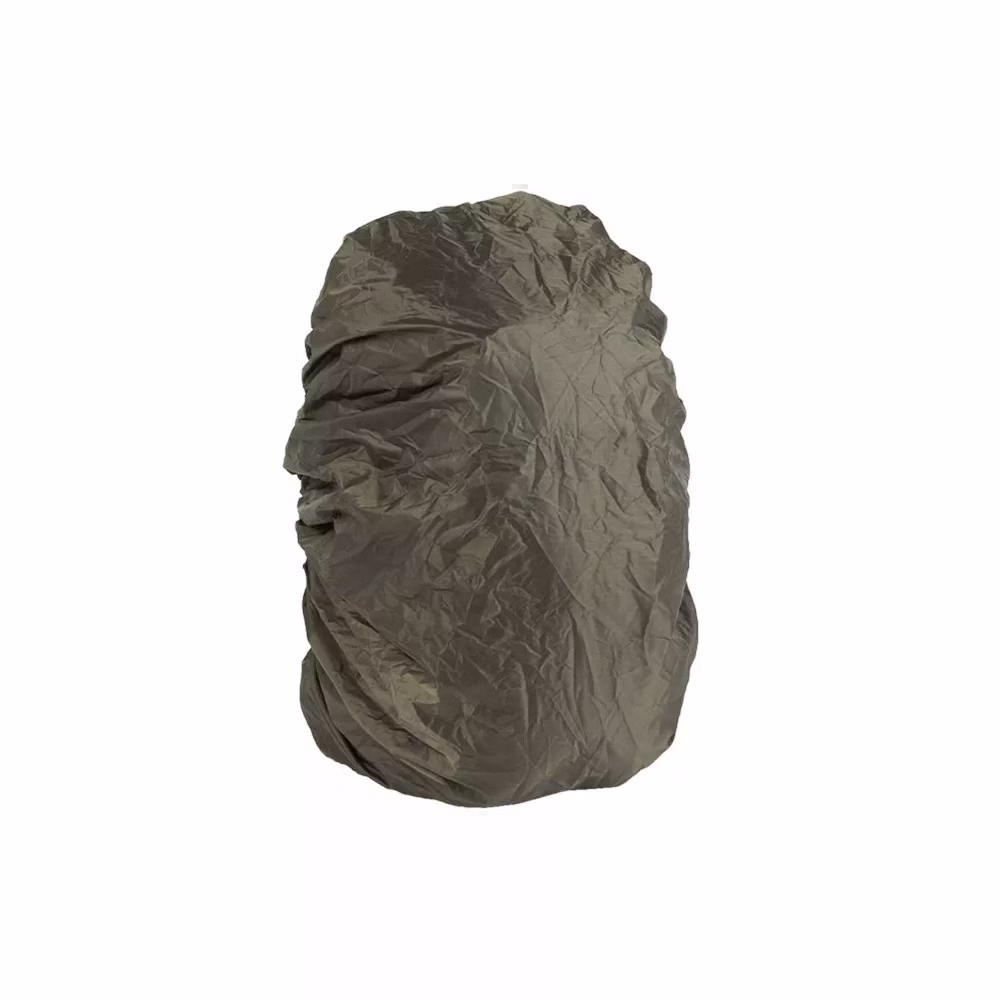 olive1.jpg