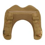 Coyote