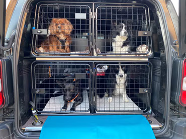Hundebox maßangepasst - zwei Doppelboxen/übereinander - Preis auf Anfrage
